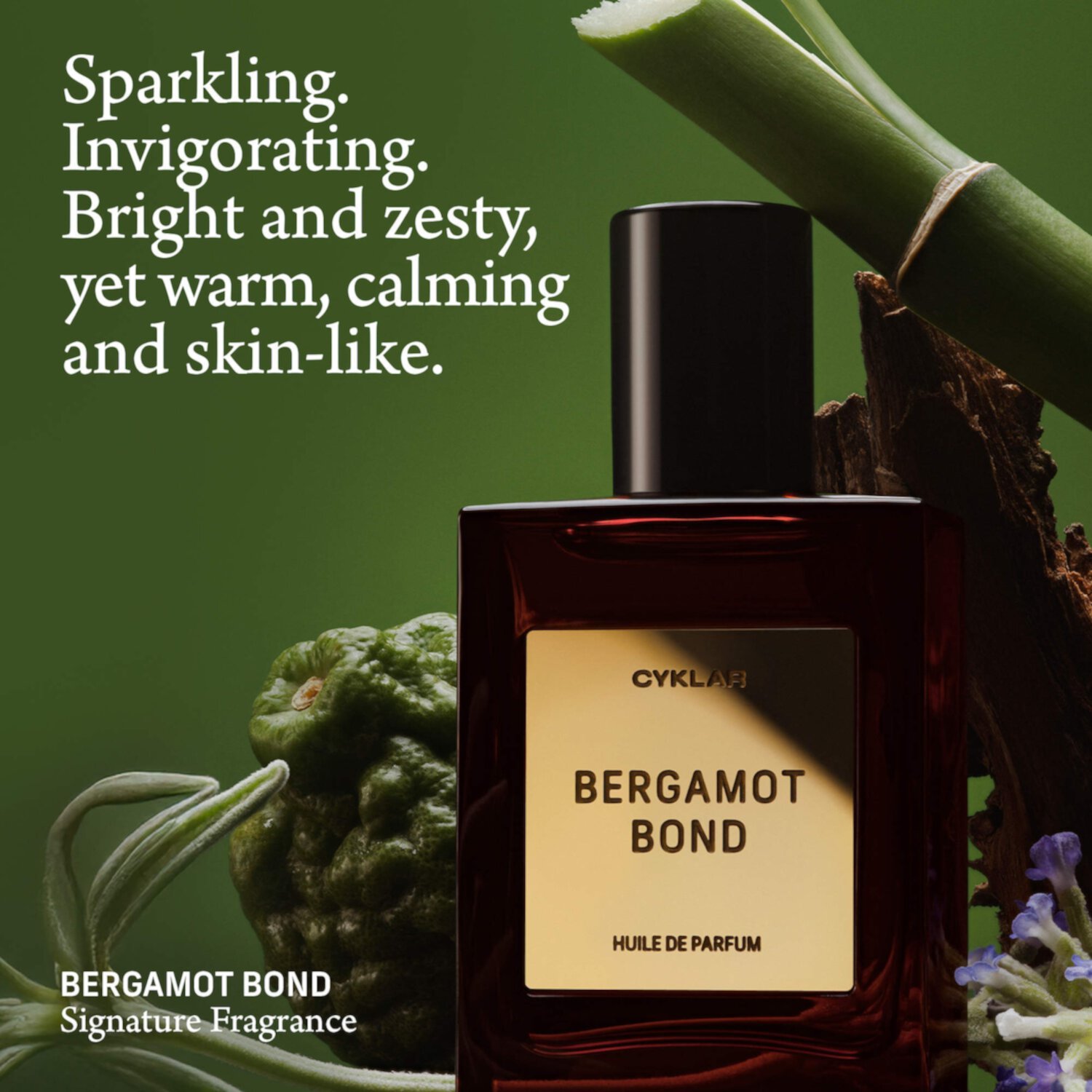 CYKLAR Масляные духи Bergamont Bond, 15 мл 4